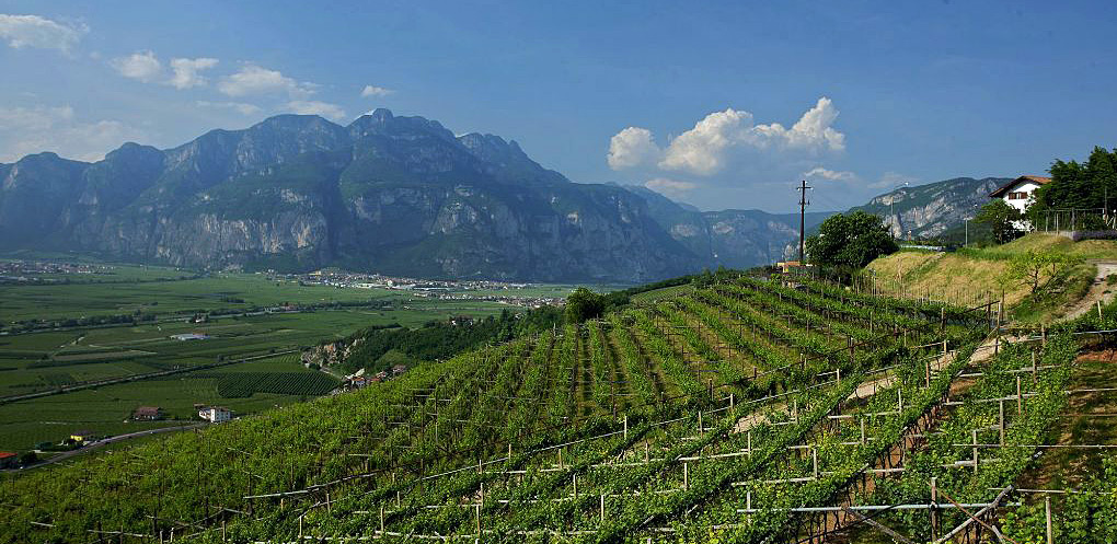 Vignaioli Indipendenti Cobelli Winery where we'll stop for wine tasting on Dolomites Multi-Sport